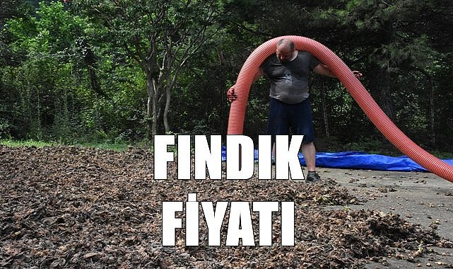 Fındık fiyatı 22.06.2023