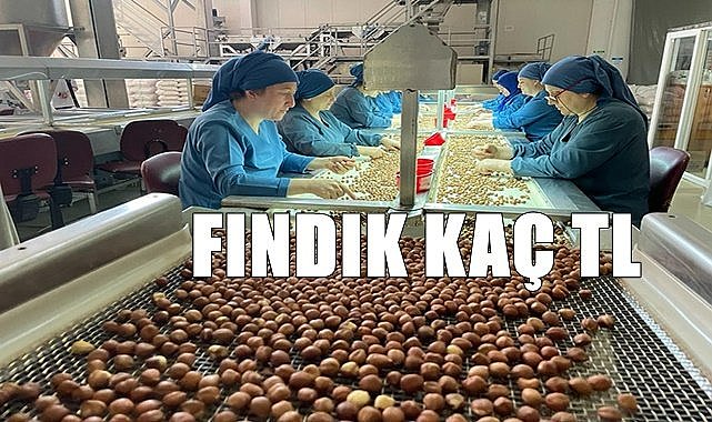 Fındık fiyatı 23.06.2023