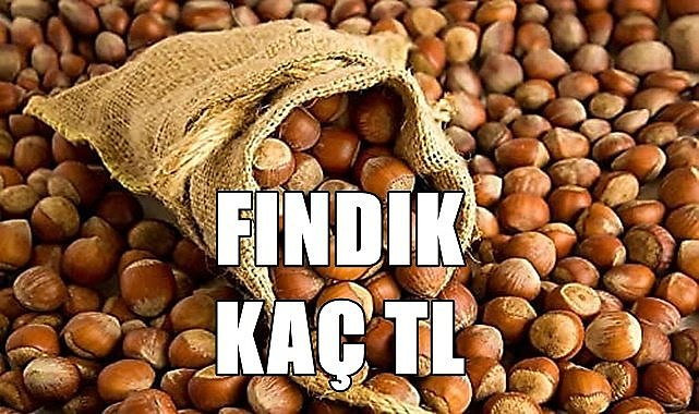 Fındık fiyatı 26.06.2023