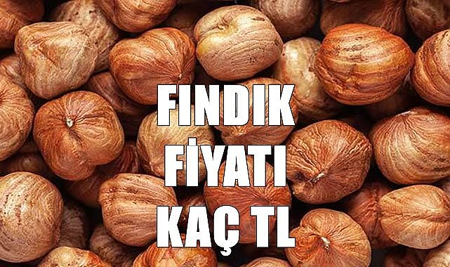 Fındık fiyatı 27.06.2023