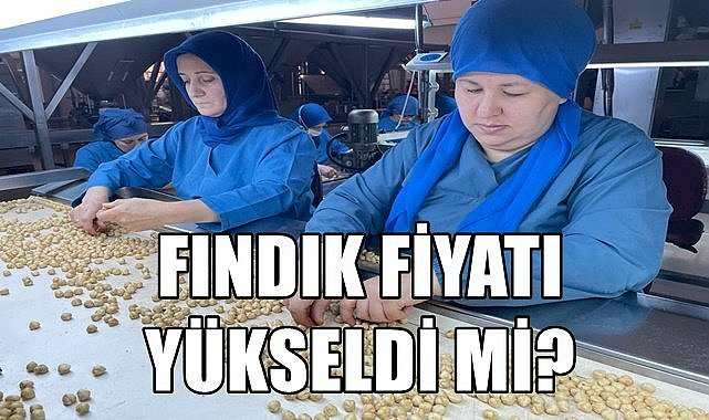 Fındık fiyatı 5.06.2023