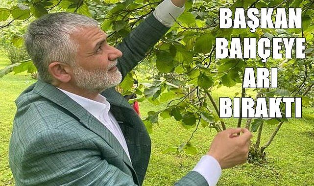 Fındık için laboratuvarda arı yetiştirildi