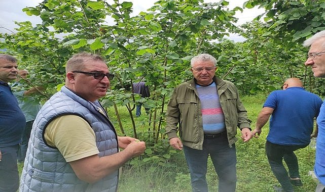 Fındık Konseyi Gürcistan'da