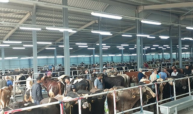 Karadeniz'in en büyüğü