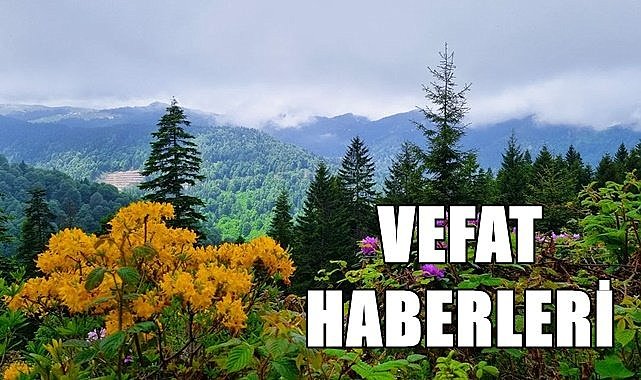 Ordu 13 Haziran Salı vefat haberleri