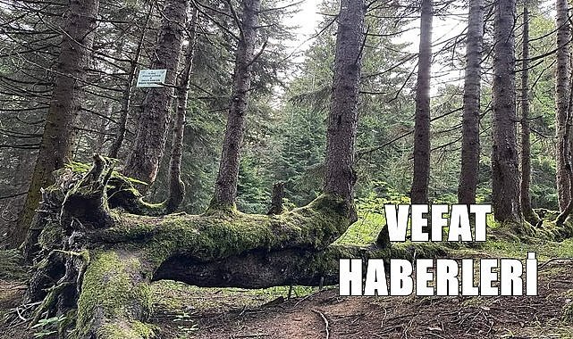 Ordu 24 Haziran Cumartesi vefat haberleri