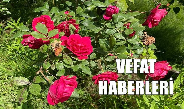 Ordu 4 Haziran  Pazar vefat haberleri
