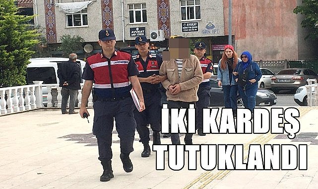 Ordu'da iki kardeş tutuklandı