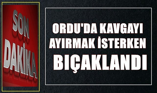 Ordu'da kavgayı ayırmak isteyen kişi bıçaklandı