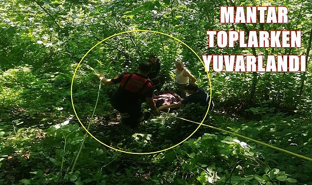 Ordu'da mantar toplarken yuvarlandı