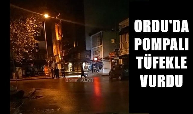 Ordu'da pompalı tüfekle bir kişi yaralandı