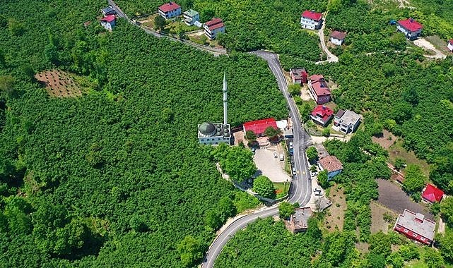 Ordu'da yarım asırlık mutlu son