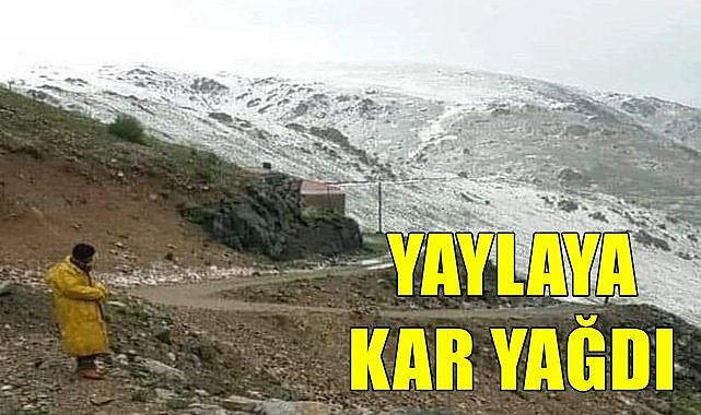 Ordu ve Giresun&#039;un yaylalarına kar yağdı