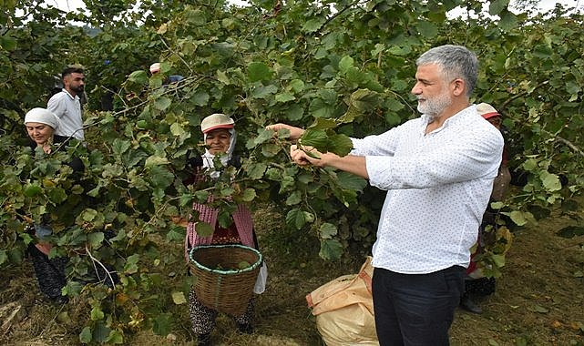 TMO'nun fındık fiyatı 3 dolar