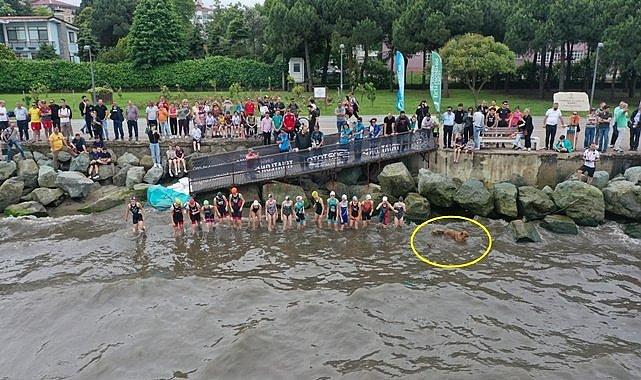 Triatlon yarışmasına köpekte katıdlı