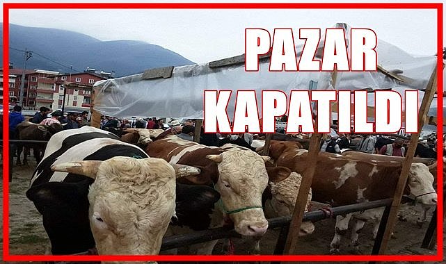 Aybastı Hayvan Pazarı kapatıldı