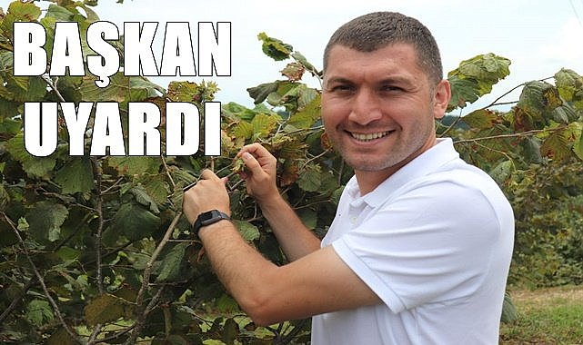 Başkan Tepe'den fındık uyarısı