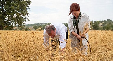 Çiftçilerin buğday sevinci