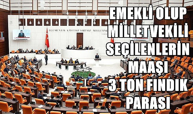Emekli milletvekili ayda 3 ton fındık parası alıyor