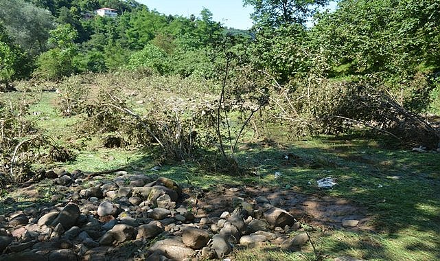 Fındık bahçeleri zarar gördü