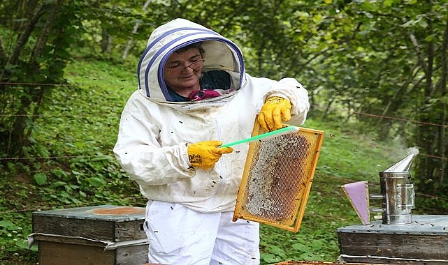 Fındık bahçesinde arıcılığa başladı