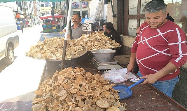 Fındık bahçesinden toplanıyor fındıktan pahalı