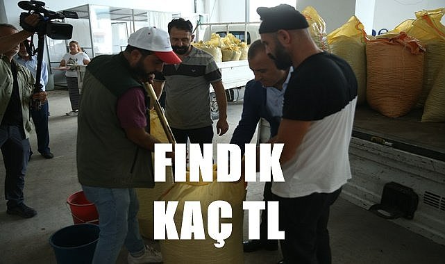 Fındık fiyatı 01.07.2023