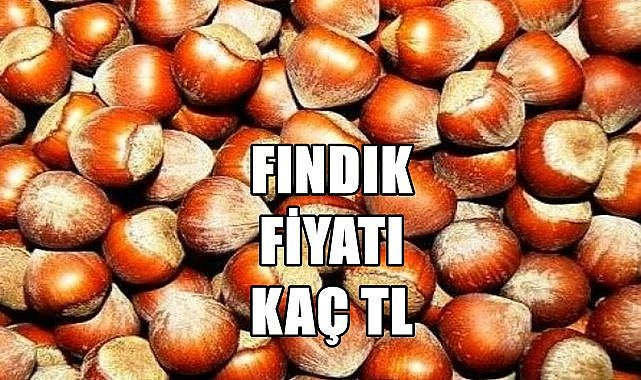 Fındık fiyatı 02.07.2023