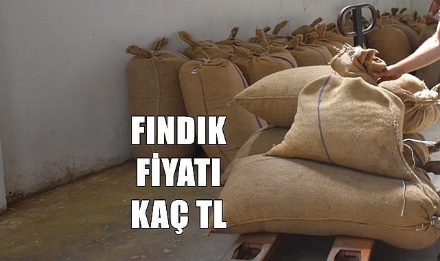Fındık fiyatı 03.07.2023