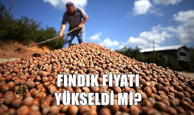 Fındık fiyatı 05.07.2023