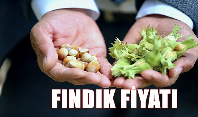 Fındık fiyatı 08.07.2023
