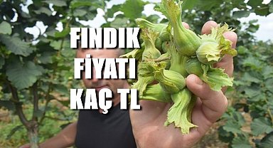 Fındık fiyatı 12.07.2023