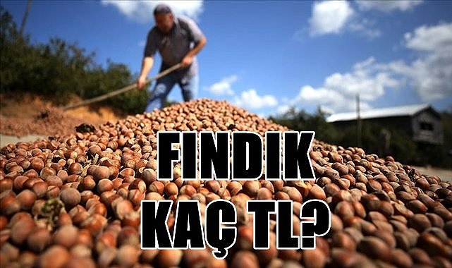 Fındık fiyatı 14.07.2023