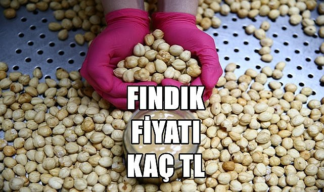 Fındık fiyatı 18.07.2023