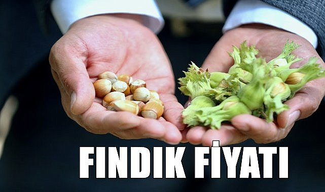 Fındık fiyatı 24.07.2024