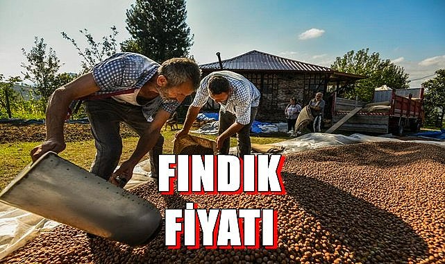 Fındık fiyatı 25.07.2023
