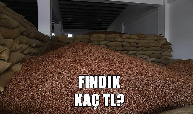 Fındık fiyatı (28.07.2023)