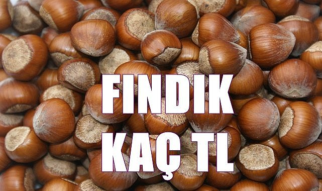 Fındık fiyatı (31.07.2023)
