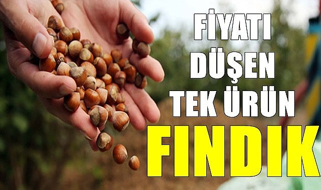 Fındık fiyatı düşen tek ürün oldu