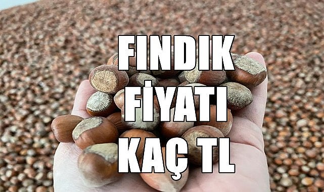 Fındık fiyatı 22.07.2023
