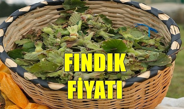 Fındık fiyatı Ordu,Sakarya,Düzce,Giresun,Trabzon