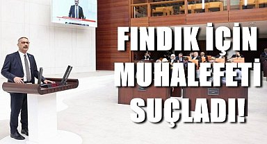 Fındık için muhalefeti suçladı!