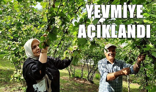 Fındık yevmiyesi açıklandı