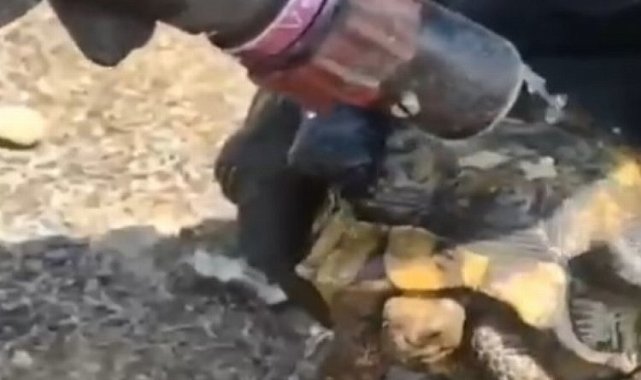 Kayseri Büyükşehir&#039;den şefkat eli