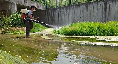 Kütahya genelinde ilaçlama sürüyor