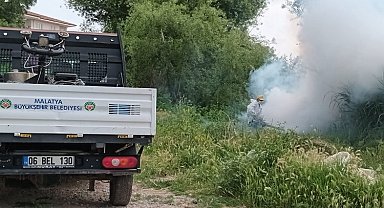 Malatya'da ilaçlama çalışmaları sürüyor