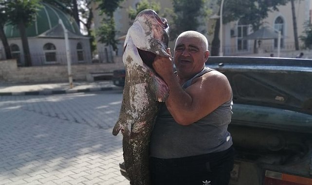 Meriç Nehri'nde boyunca balık yakaladı!