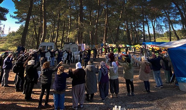 Muğla'da Akbelen Ormanı için ortak 'sivil' çağrı