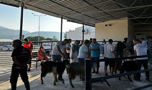 Muğla mezbahaları tam kapasite çalıştı
