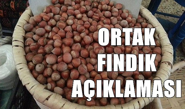Ordu&#039;da 3 borsa ortak fındık açıklaması yaptı